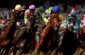 Datos de La Rinconada, Santa Rita, Valencia - Carrera de Caballos de Hipodromos Venezolanos